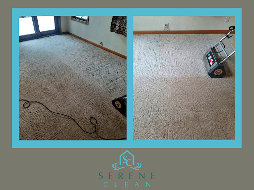Best Carpet Cleaners In Sparta, WI 2