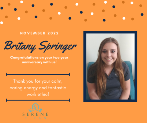 Cleaning Services | Black River Falls Cleaning Services