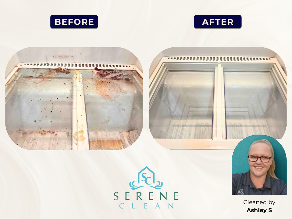 Gallery Fridge Ashley S Refrigerator before and after cleaning, by Ashley S