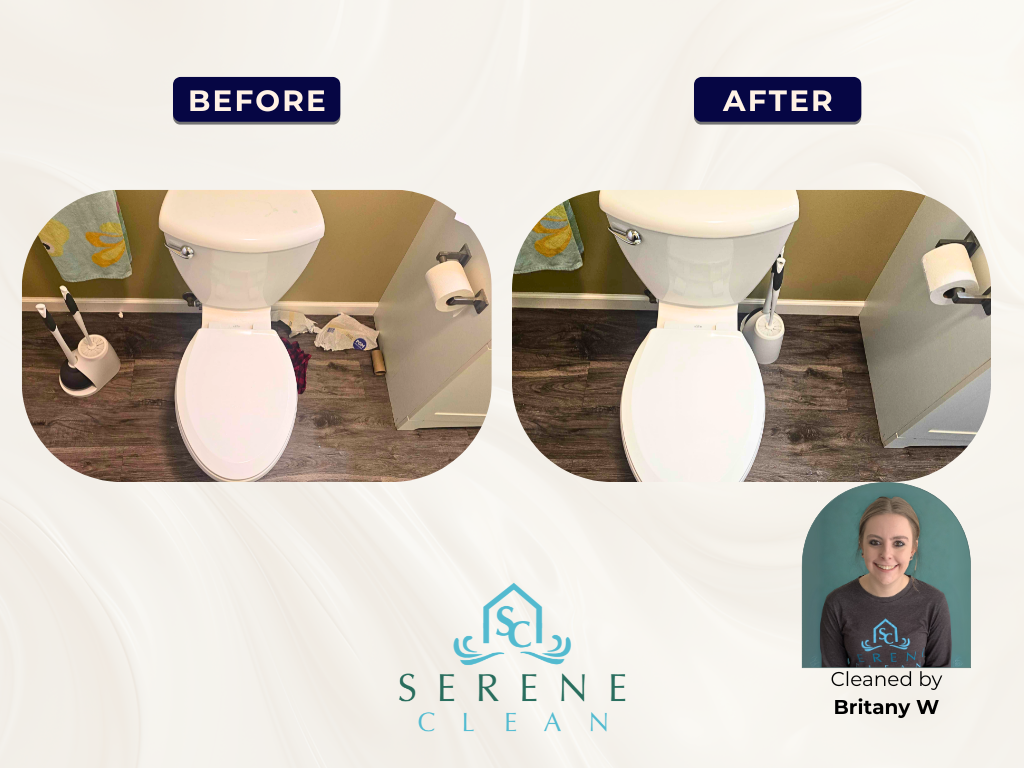Toilet before and after cleaning, by Britany
