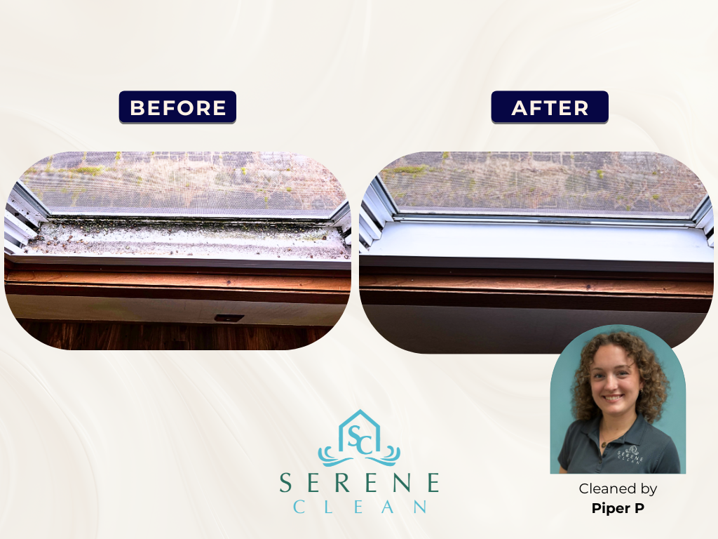 Gallery Window Tracks Piper Window tracks before and after cleaning, by Piper